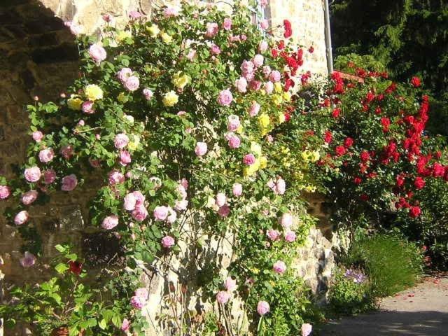 Bed and Breakfast Mas Casta Nea Thueyts Exterior foto