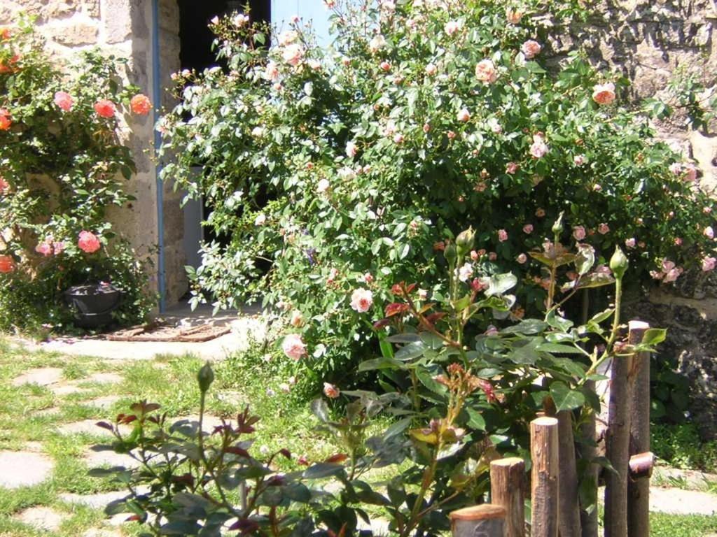 Bed and Breakfast Mas Casta Nea Thueyts Exterior foto